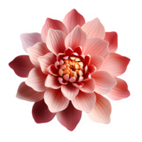 roze lotus bloem bloeiend top visie geïsoleerd Aan transparant achtergrond ,generatief ai png