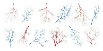 Human eye blood veins vessels silhouettes vector illustration set isolated on white background.