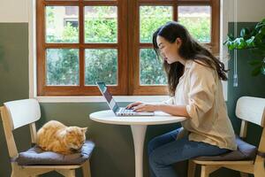 woman working from home with cat. cat asleep on the laptop keyboard. assistant cat working at Laptop photo