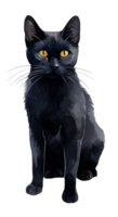 Black cats are often seen as unlucky, but they are actually just as lucky as any other cat. AI Generated png