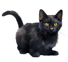 Black cats are often seen as unlucky, but they are actually just as lucky as any other cat. AI Generated png