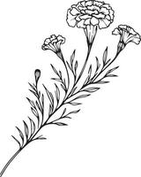 Marigold tattoo, black and white vector sketch illustration of floral ornament bouquet of marigold simplicity, Embellishment, zentangle design element for card printing coloring pages, detailed flowe