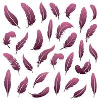 A large set of feathers of various shapes vector