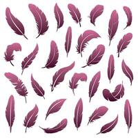 A large set of feathers of various shapes vector