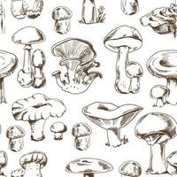 Seamless pattern of different hand-drawn  mushrooms. Sketch illustration for print, web, mobile and infographics. vector