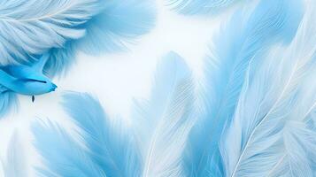 abstract soft focus background with a gentle blue color palette, emphasizing the softness and delicacy of bird feathers photo