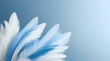 abstract soft focus background with a gentle blue color palette, emphasizing the softness and delicacy of bird feathers photo