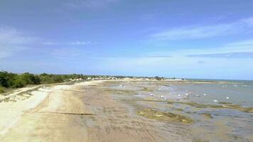 aéreo Visão do la claro de praia dentro noirmoutier ilha video