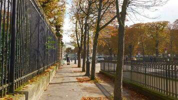 spazieren gehen im ruhig Straße von Paris, Herbst Aussicht video