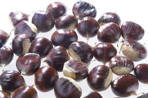 a group of chestnuts on a white background photo