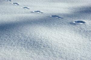 un cerca arriba de nieve que cae desde el cielo foto