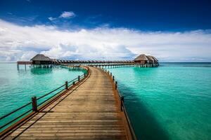 Maldivas playa con lujoso agua villas con embarcadero hermosa tropical escena. Maldivas islas lujo verano viaje destino antecedentes concepto. playa estado animico para verano vacaciones o fiesta diseño foto