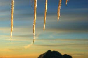 icicles hanging from a tree in the sky photo