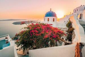Amazing sunset landscape with famous travel destination. Luxury travel view, flowers over white architecture in Santorini, Oia under colorful sky. Fantastic vacation banner for postcard or wallpaper. photo