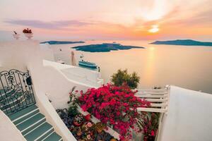 Amazing sunset landscape with famous travel destination. Luxury travel view, flowers over white architecture in Santorini, Oia under colorful sky. Fantastic vacation banner for postcard or wallpaper. photo