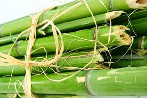 a bunch of bamboo sticks tied together with twine photo