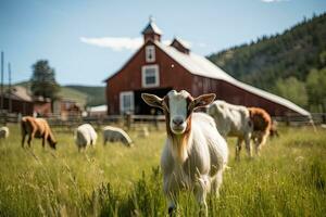 Portrait goat in the farm with light exposure AI Generative photo