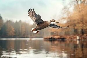 Portrait of Mallard duck flying over the lake AI Generative photo