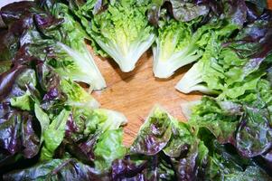 a close up of a bunch of lettuce photo