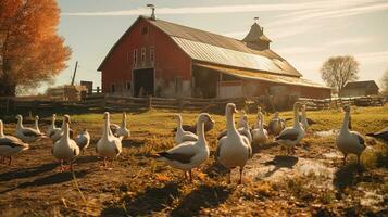 Portrait goose in the farm with light exposure AI Generative photo