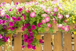 a wooden fence with flowers hanging from it photo