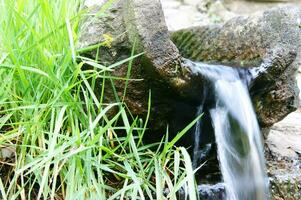 a small waterfall flowing out of a rock photo