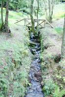 a small stream running through a forest photo