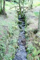 a small stream running through a forest photo