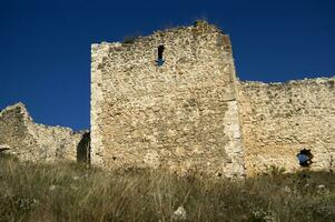 a stone wall with a large bird on it photo