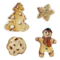 Hand drawn watercolor illustration. Homemade shortbread cookies, gingerbread man, tree, glazed star, Christmas ornament. Single object isolated on white background. Bakery shop, logo, print, card vector