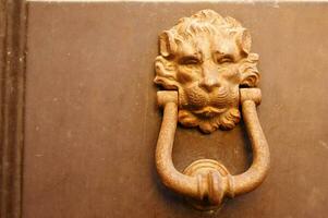 a lion head on a door handle photo