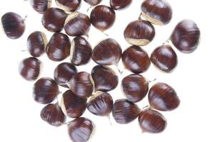 a group of chestnuts on a white background photo