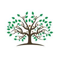 family tree logo template vector