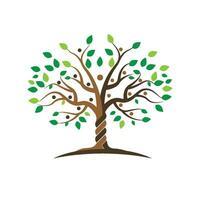 family tree logo template vector