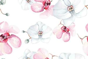 Seamless pattern of orchids and blooming flowers painted in watercolor.Flower background.For fabric luxurious and wallpaper, vintage style.Hand drawn botanical floral pattern. vector