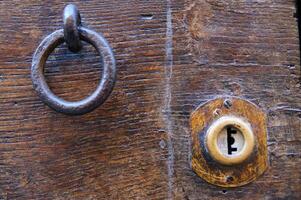 a lion head on a door handle photo