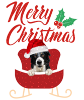 Hund Rassen fröhlich Weihnachten Design zum das Urlaub Jahreszeit. Weihnachten Hund T-Shirt Design. komisch Hund. png