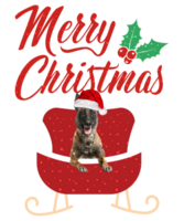 hund raser glad jul design för de Semester säsong. jul hund t-shirt design. rolig hund. png