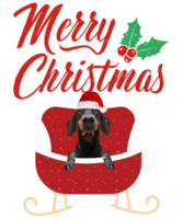 Hund Rassen fröhlich Weihnachten Design zum das Urlaub Jahreszeit. Weihnachten Hund T-Shirt Design. komisch Hund. png