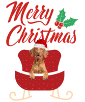 Hund Rassen fröhlich Weihnachten Design zum das Urlaub Jahreszeit. Weihnachten Hund T-Shirt Design. komisch Hund. png