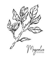 Magnolia flower line illustration set. Handdrawn contour outline of wedding herb, elegant leaves for invitation save the date card. Botanical trendy greenery vector collection for web, print, posters.