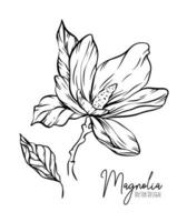 magnolia flor línea ilustración colocar. dibujado a mano contorno contorno de Boda hierba, elegante hojas para invitación salvar el fecha tarjeta. botánico de moda verdor vector colección para web, imprimir, carteles