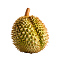 Fresco Durian fruta, ai generativo png