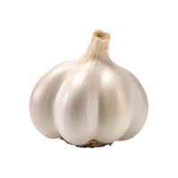 isolated fresh garlic, ai generative png