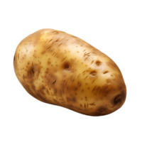 isolated fresh potato, ai generative png