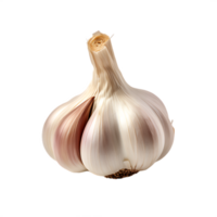 isolated fresh garlic, ai generative png