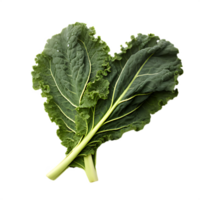 fresh kale leaf, ai generative png