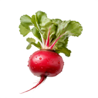 fresh red radish, ai generative png