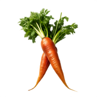 fresh carrot, ai generative png