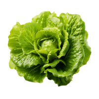 frisch Grün Kopfsalat, ai generativ png